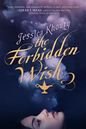 Cover of the book The Forbidden Wish by Meredith Ann Pierce