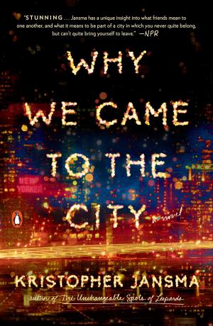 Cover of the book Why We Came to the City by Michele A. Fabiano