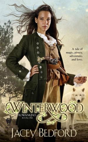 Cover of the book Winterwood by Emily Drake