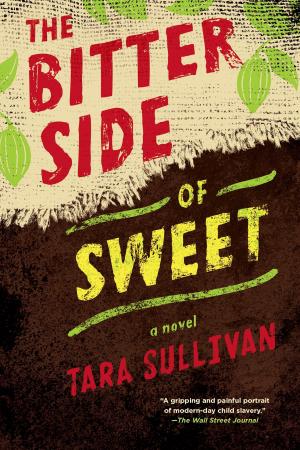 Cover of the book The Bitter Side of Sweet by David A. Adler