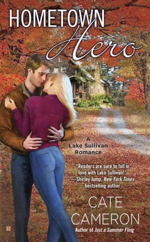 Cover of the book Hometown Hero by Heather Wardell