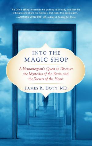 Cover of the book Into the Magic Shop by Michael A. Boylan