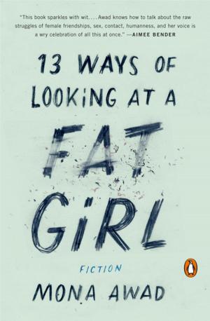 Cover of the book 13 Ways of Looking at a Fat Girl by Tabor Evans