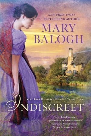Cover of the book Indiscreet by Sophie Chen Keller
