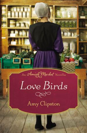 Book cover of Love Birds