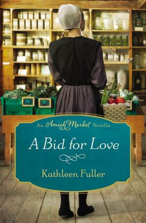 Book cover of A Bid for Love