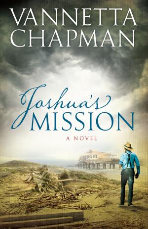 Cover of the book Joshua's Mission by B. A. Binns