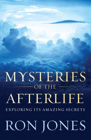 Cover of the book Mysteries of the Afterlife by Sandy Silverthorne