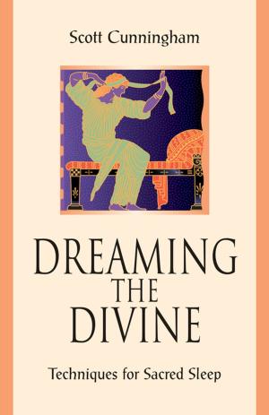 Book cover of Dreaming the Divine