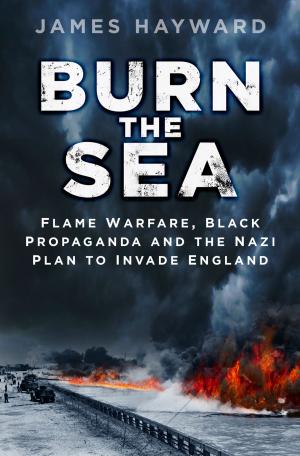 Cover of the book Burn the Sea by Camilla Boon