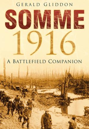 Cover of the book Somme 1916 by Martin Edwards, Peter James