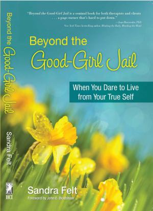 Cover of the book Beyond the Good Girl Jail by Troy Amdahl, DC, Dave Braun, D.C.