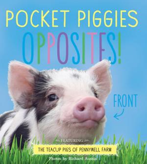 Cover of the book Pocket Piggies Opposites! by Myra Goodman, Linda Holland, Pamela McKinstry