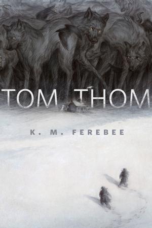 Cover of the book Tom, Thom by Jack Whyte