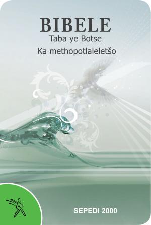 Cover of the book Bibele Taba ye Botse Ka methopotlaleletšo (2000 Translation) by Roland Bermann