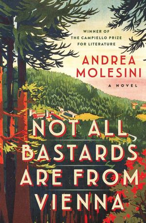Cover of the book Not All Bastards Are from Vienna by Marie Clark