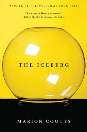 Cover of the book The Iceberg by James Howard Kunstler