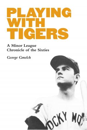 Book cover of Playing with Tigers