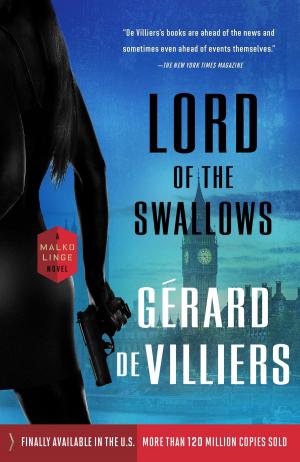 Cover of the book Lord of the Swallows by Richard Bernstein