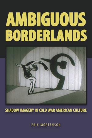 Cover of the book Ambiguous Borderlands by Andrew Gibb
