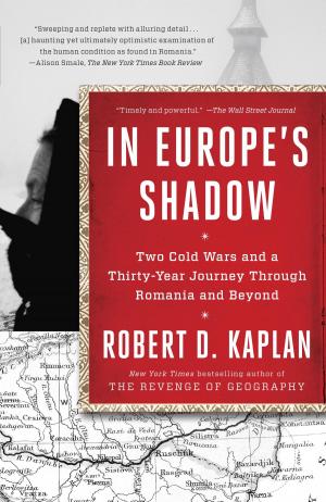 Cover of In Europe's Shadow