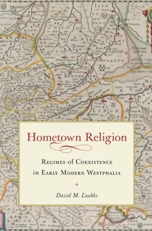 Cover of the book Hometown Religion by Monica F. Cohen, Herbert F. Tucker, Jill Rappoport