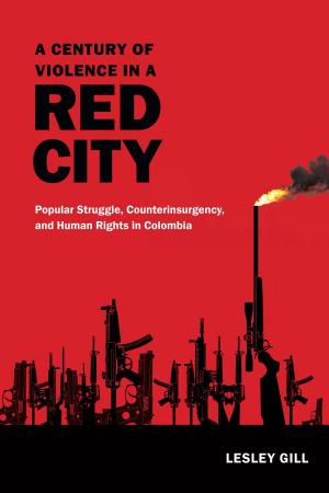 Cover of the book A Century of Violence in a Red City by Eric Schaefer