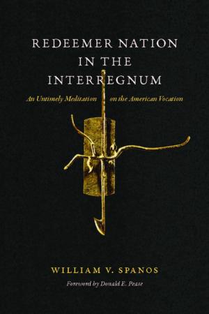 Cover of the book Redeemer Nation in the Interregnum by John C. Waldmeir