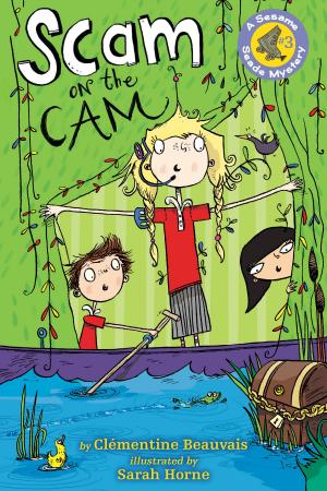 Cover of the book Scam on the Cam by Martha Freeman