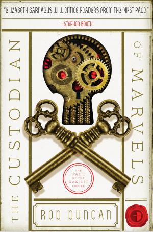 Cover of the book The Custodian of Marvels by Sharon Ihle