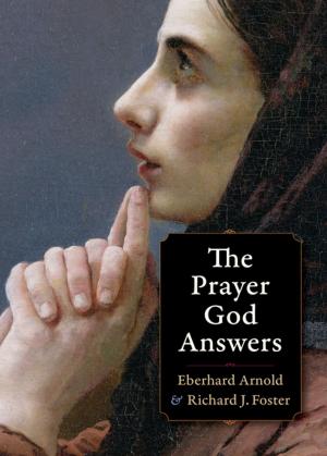 bigCover of the book The Prayer God Answers by 