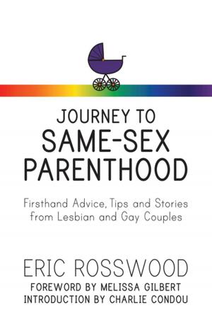 Cover of the book Journey to Same-Sex Parenthood by Diane Zimberoff, David Hartman