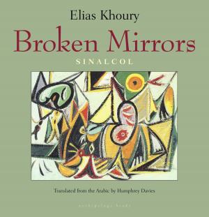 Book cover of Broken Mirrors