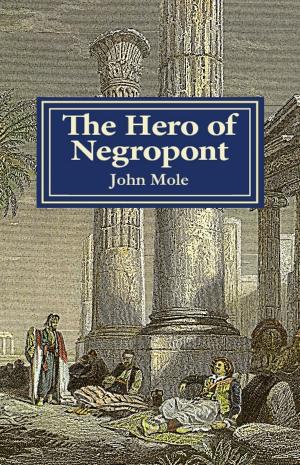 Cover of the book The Hero of Negropont by Abbie Zanders