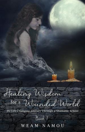 bigCover of the book Healing Wisdom for a Wounded World: My Life-Changing Journey Through a Shamanic School (Book 1) by 