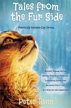 Cover of the book TALES FROM THE FUR SIDE by Jaime Mera