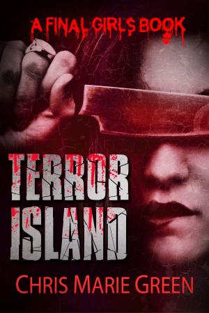 Cover of the book Terror Island by Kristen Stone