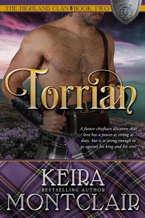Book cover of Torrian