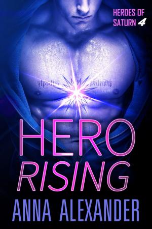 Cover of the book Hero Rising by D.R. Collins