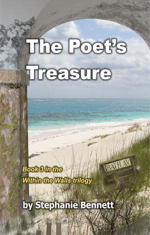 Cover of the book The Poet's Treasure by Julia Imari