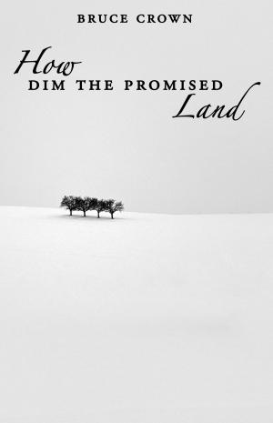 bigCover of the book How Dim the Promised Land by 