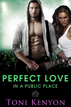 Cover of the book Perfect Love in a Public Place by Serene Conneeley