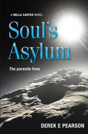 Cover of the book Soul's Asylum by Nathan Allen