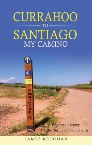 Cover of the book Currahoo to Santiago My Camino by 