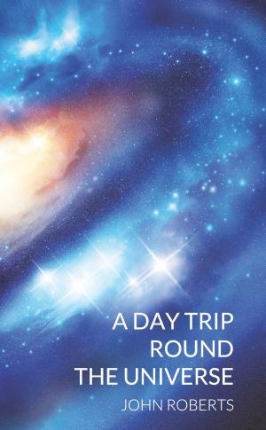 bigCover of the book A Day Trip Round the Universe by 