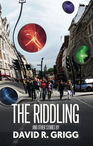 Cover of the book The Riddling by Emilie Rose