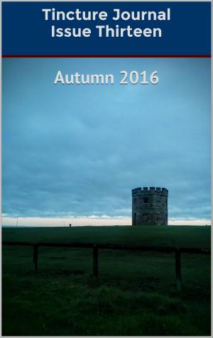 Book cover of Tincture Journal Issue Thirteen (Autumn 2016)