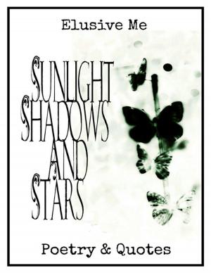 Cover of the book Sunlight, Shadows and Stars by Abdul Sami