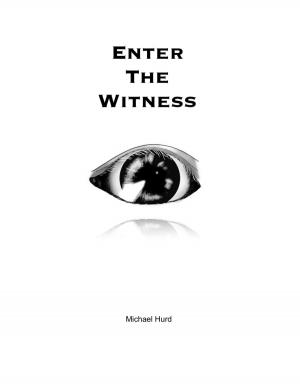 Book cover of Enter the Witness