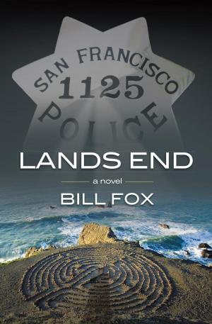 Cover of the book Lands End: a novel by Christine Unger